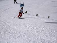 IMG_2205
