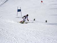 IMG_2231