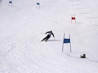 IMG_2260