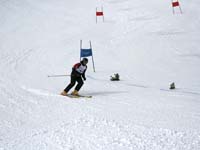 IMG_2264