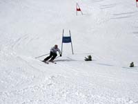 IMG_2290