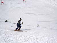IMG_2291