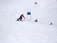 IMG_2323