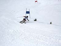 IMG_2339